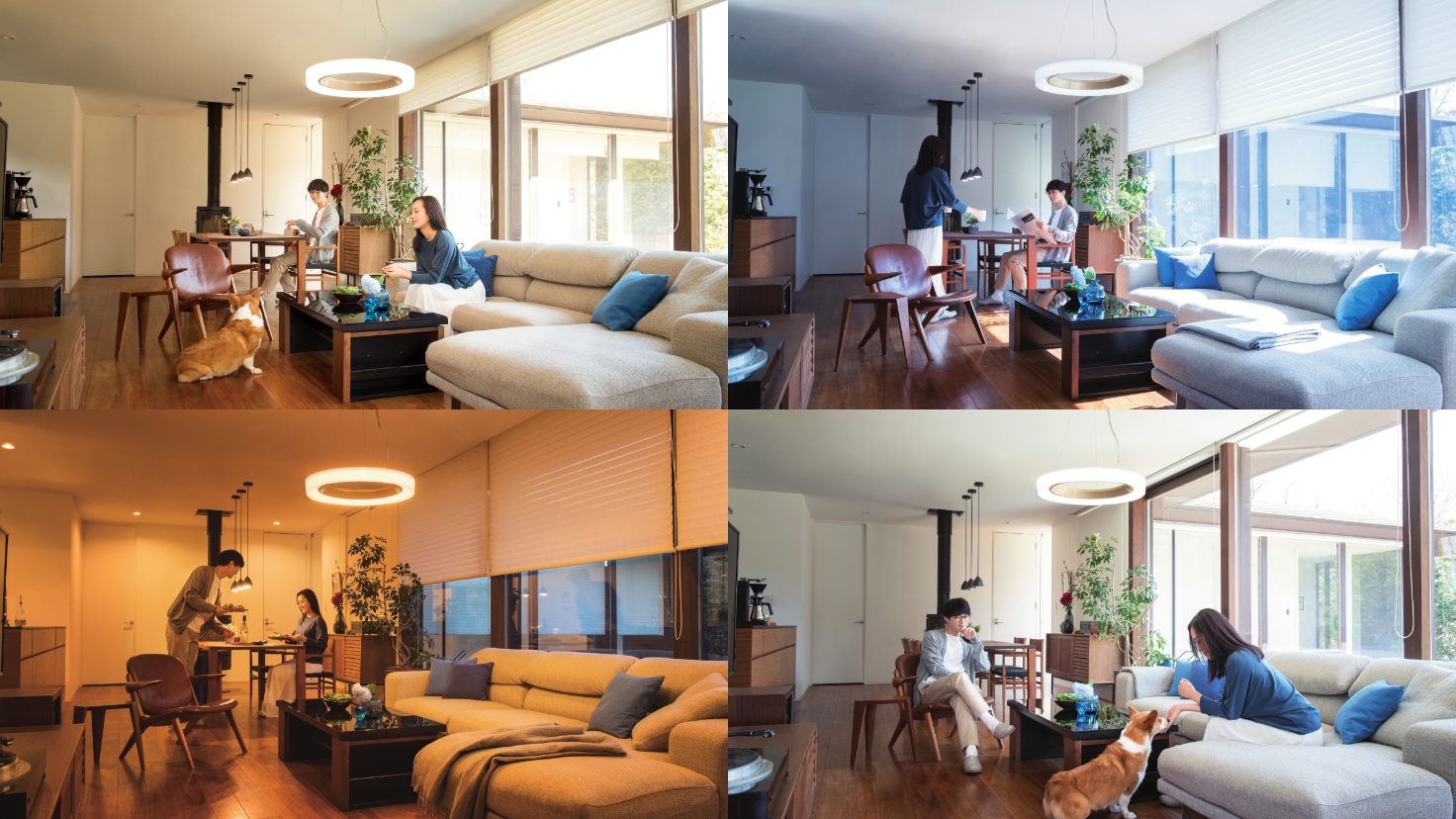 ODELIC オーデリック CONNECTED LIGHTING シャンデリア 40形 LED 調色