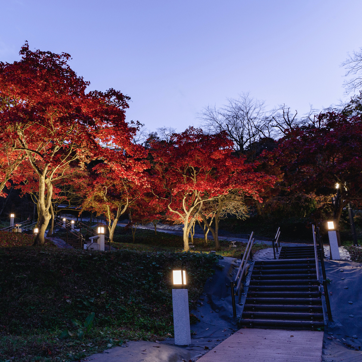 天童公園もみじ園