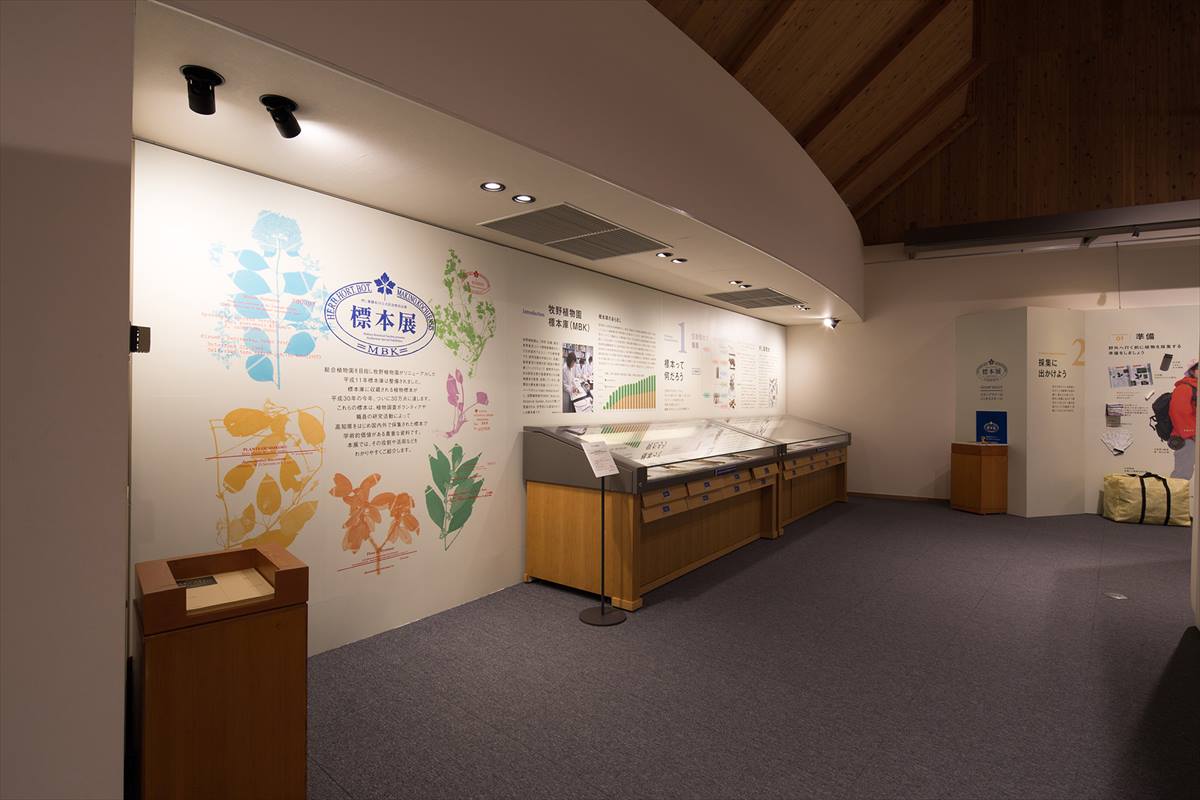 高知県立牧野植物園 展示館