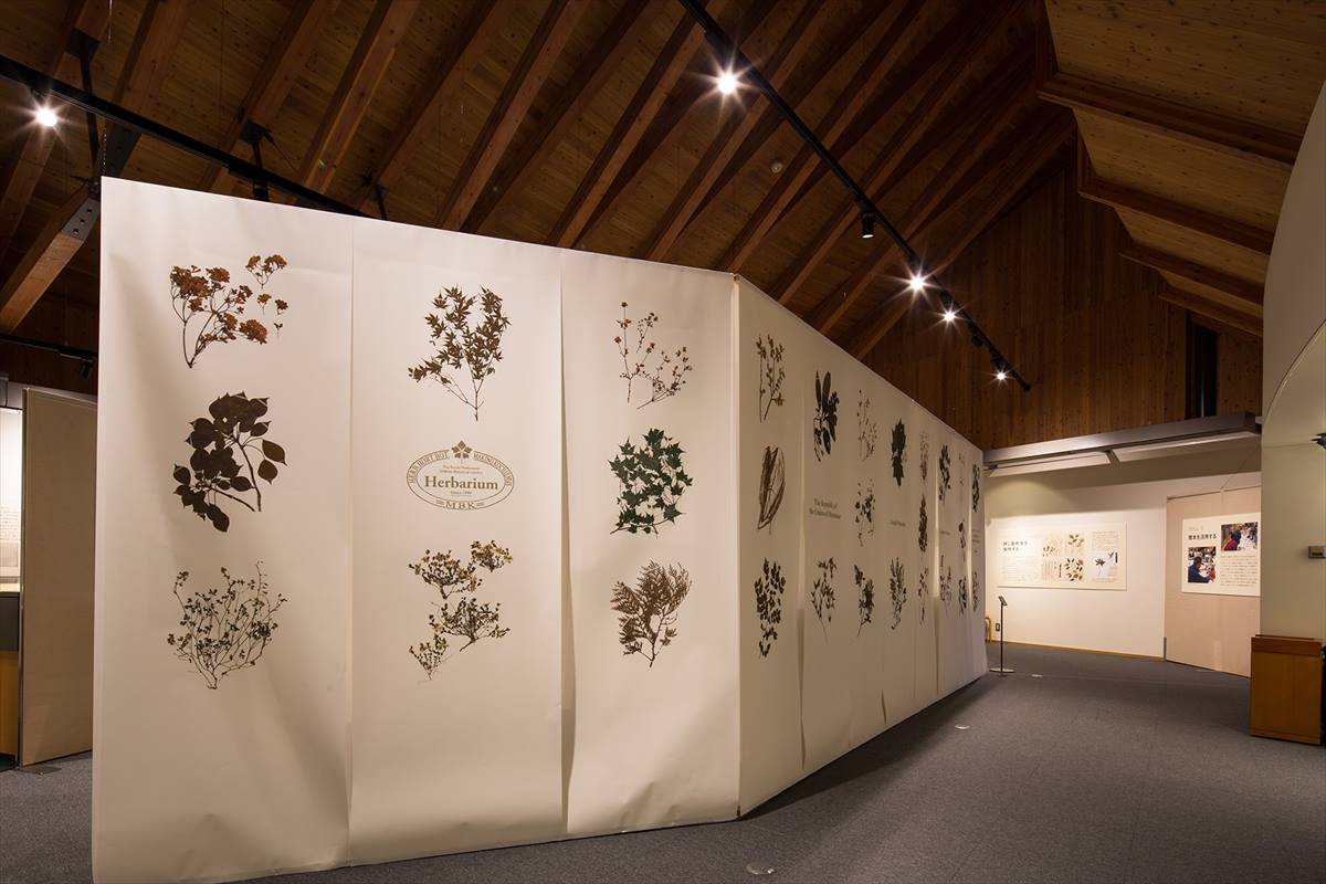 高知県立牧野植物園 展示館