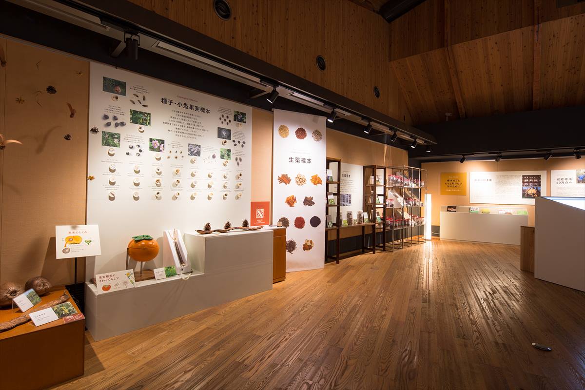 高知県立牧野植物園 展示館