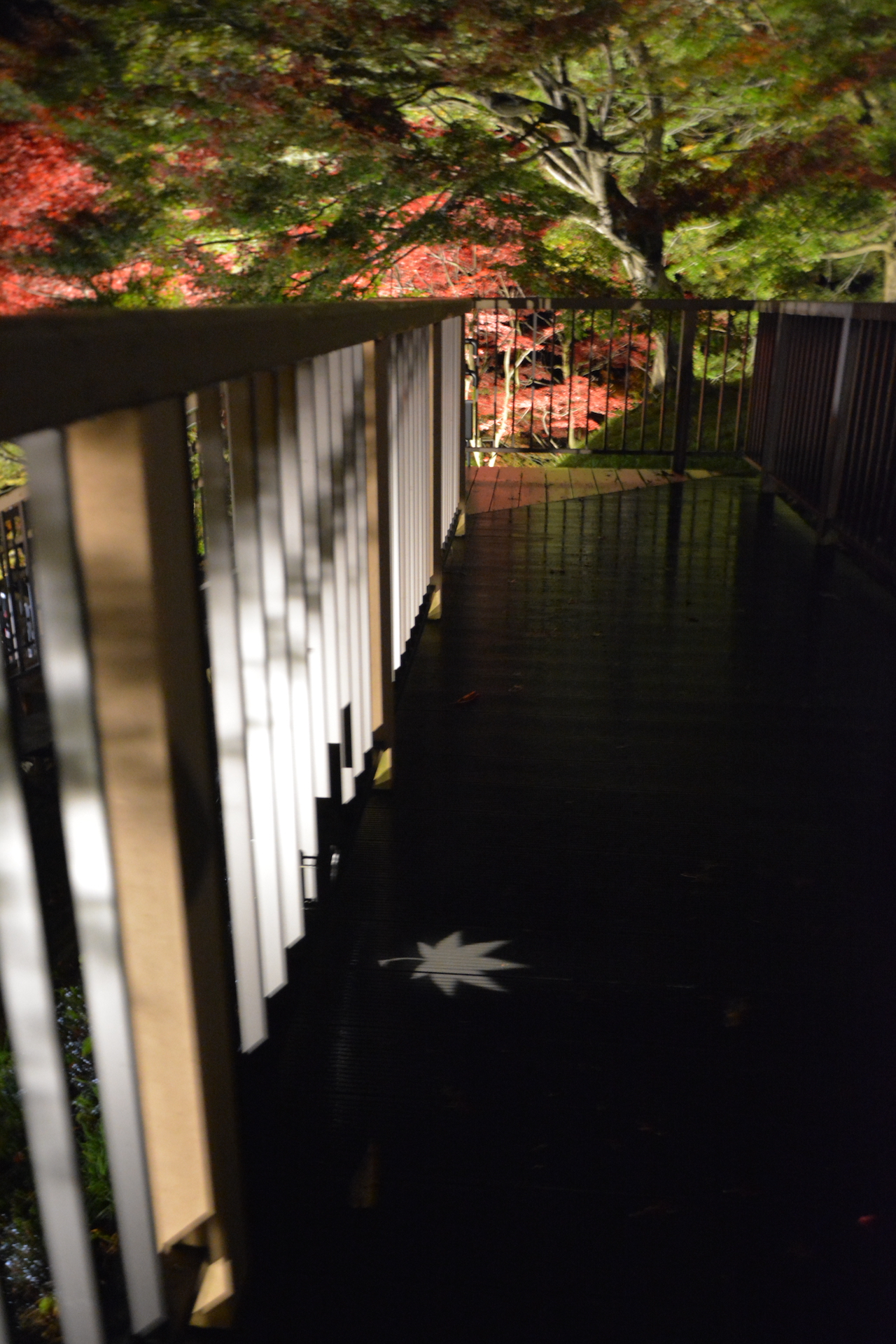 天童公園もみじ園