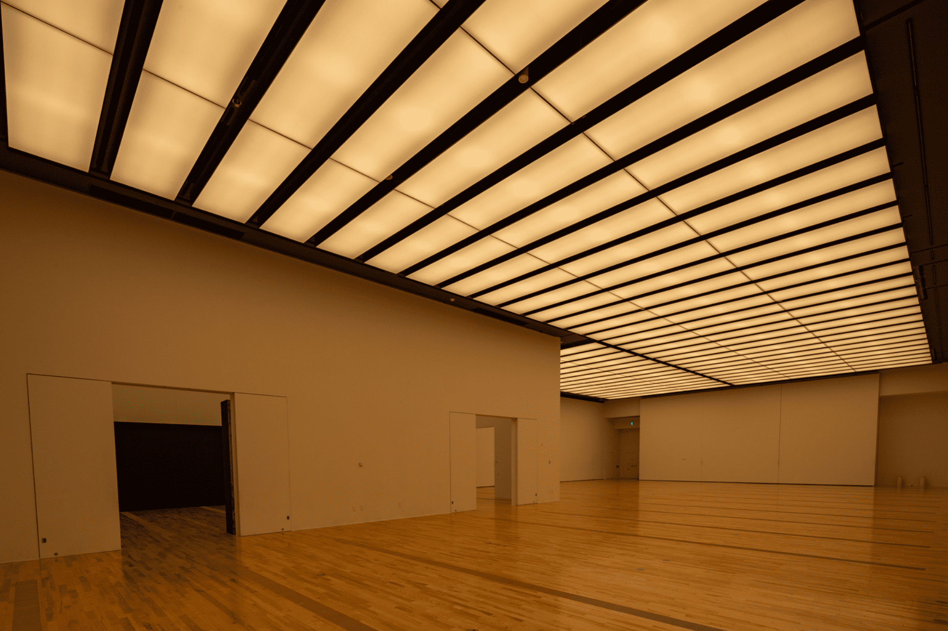 MieMu -みえむ- 三重県総合博物館