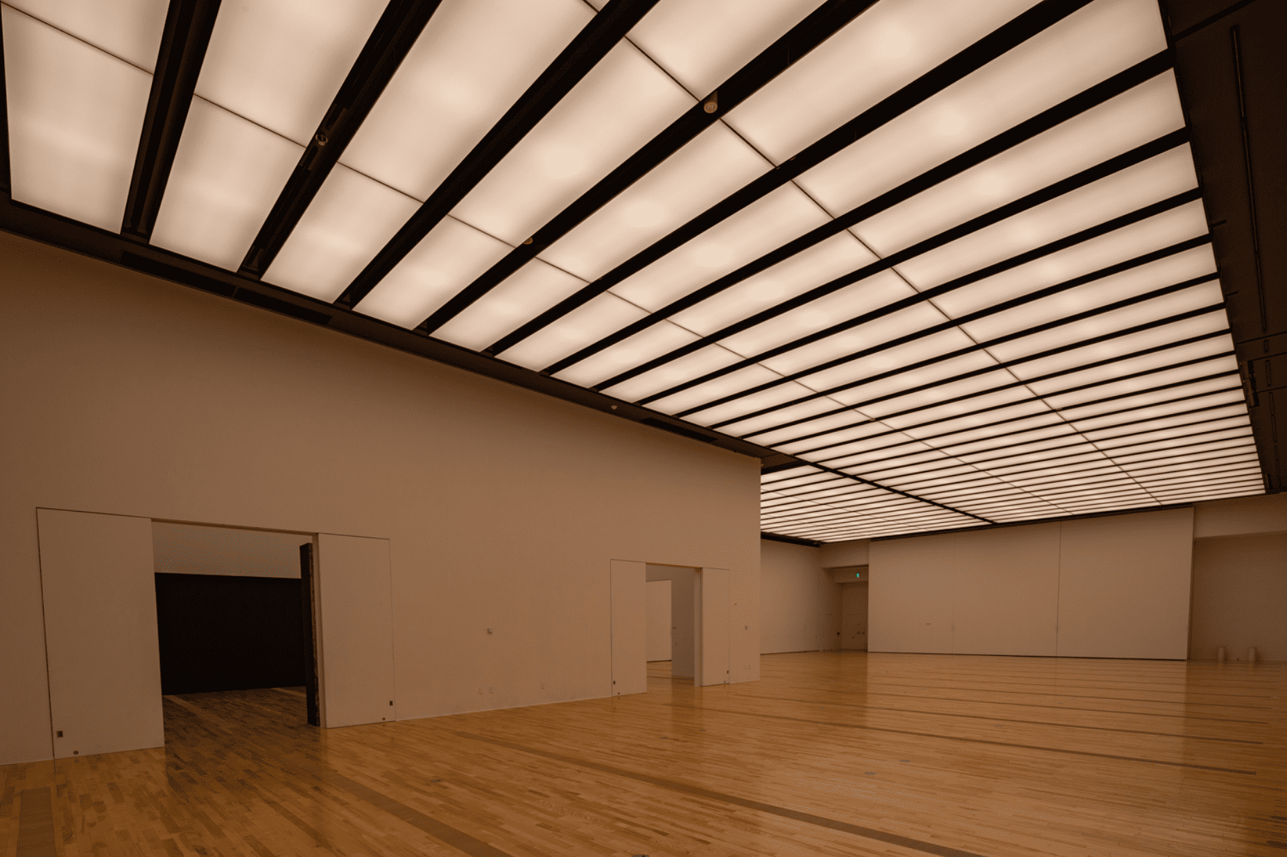 MieMu -みえむ- 三重県総合博物館