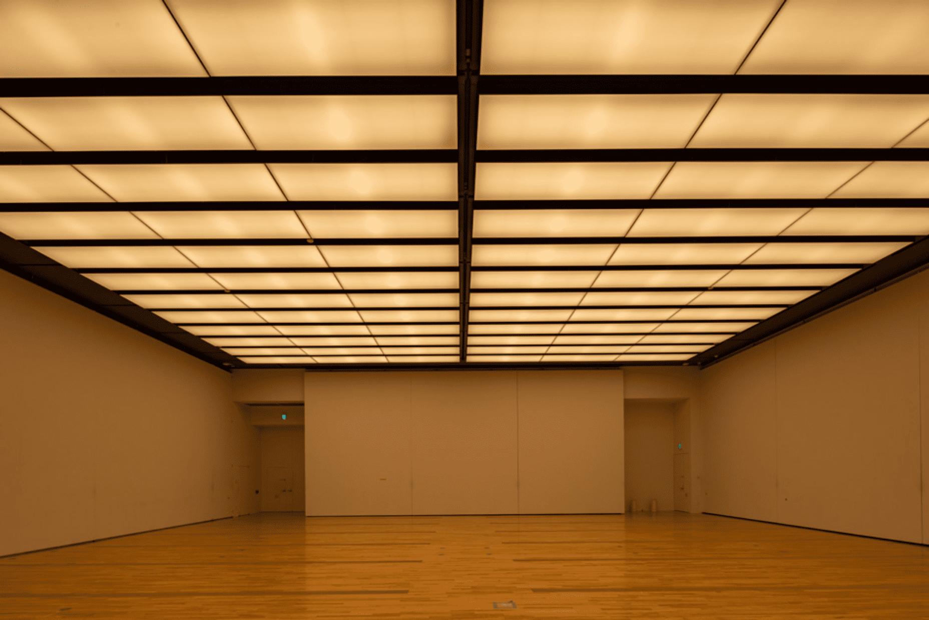 MieMu -みえむ- 三重県総合博物館