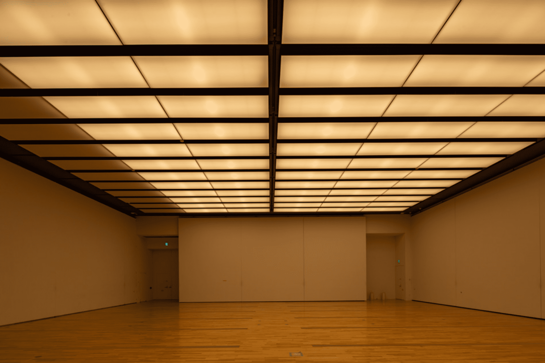 MieMu -みえむ- 三重県総合博物館