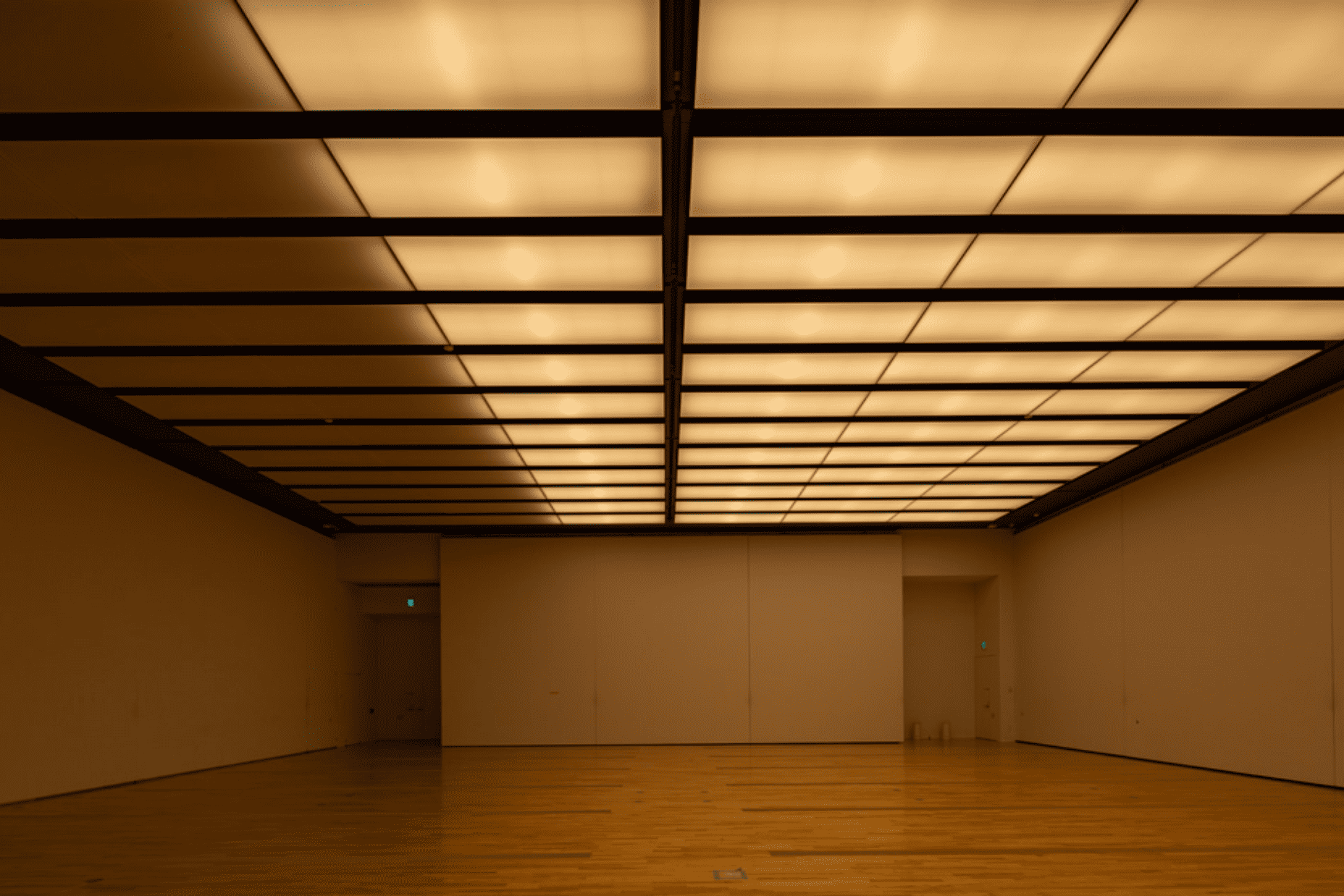 MieMu -みえむ- 三重県総合博物館