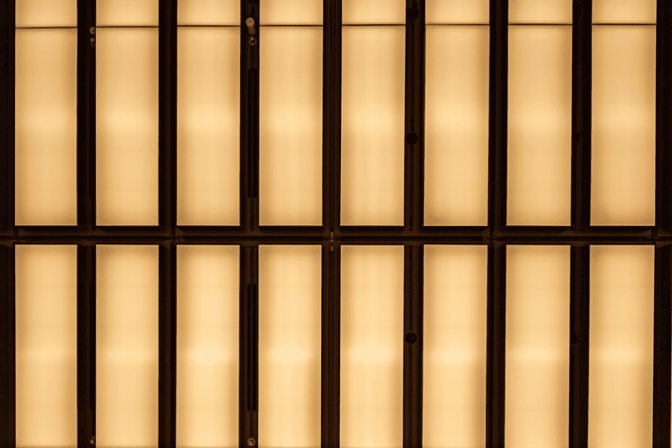 MieMu -みえむ- 三重県総合博物館