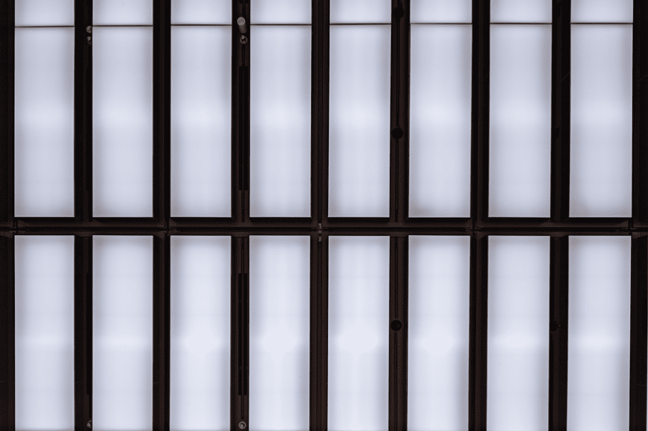 MieMu -みえむ- 三重県総合博物館