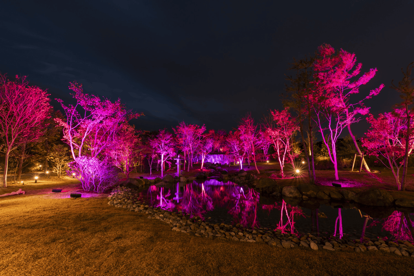 山代温泉 みやびの宿 加賀百万石