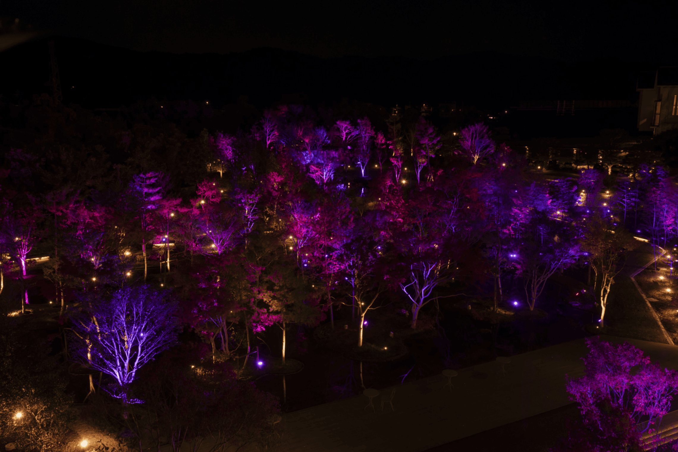 山代温泉 みやびの宿 加賀百万石