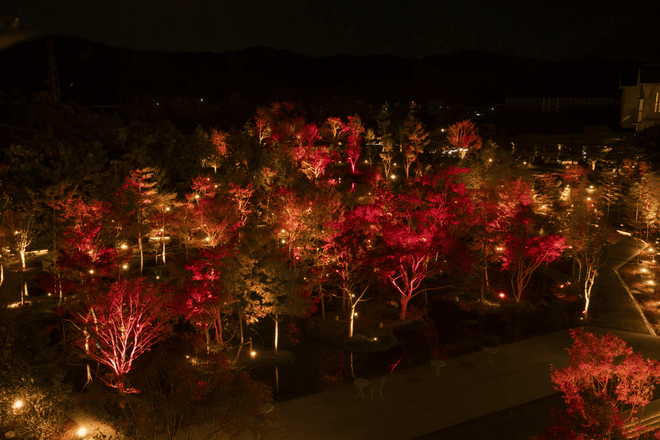 山代温泉 みやびの宿 加賀百万石