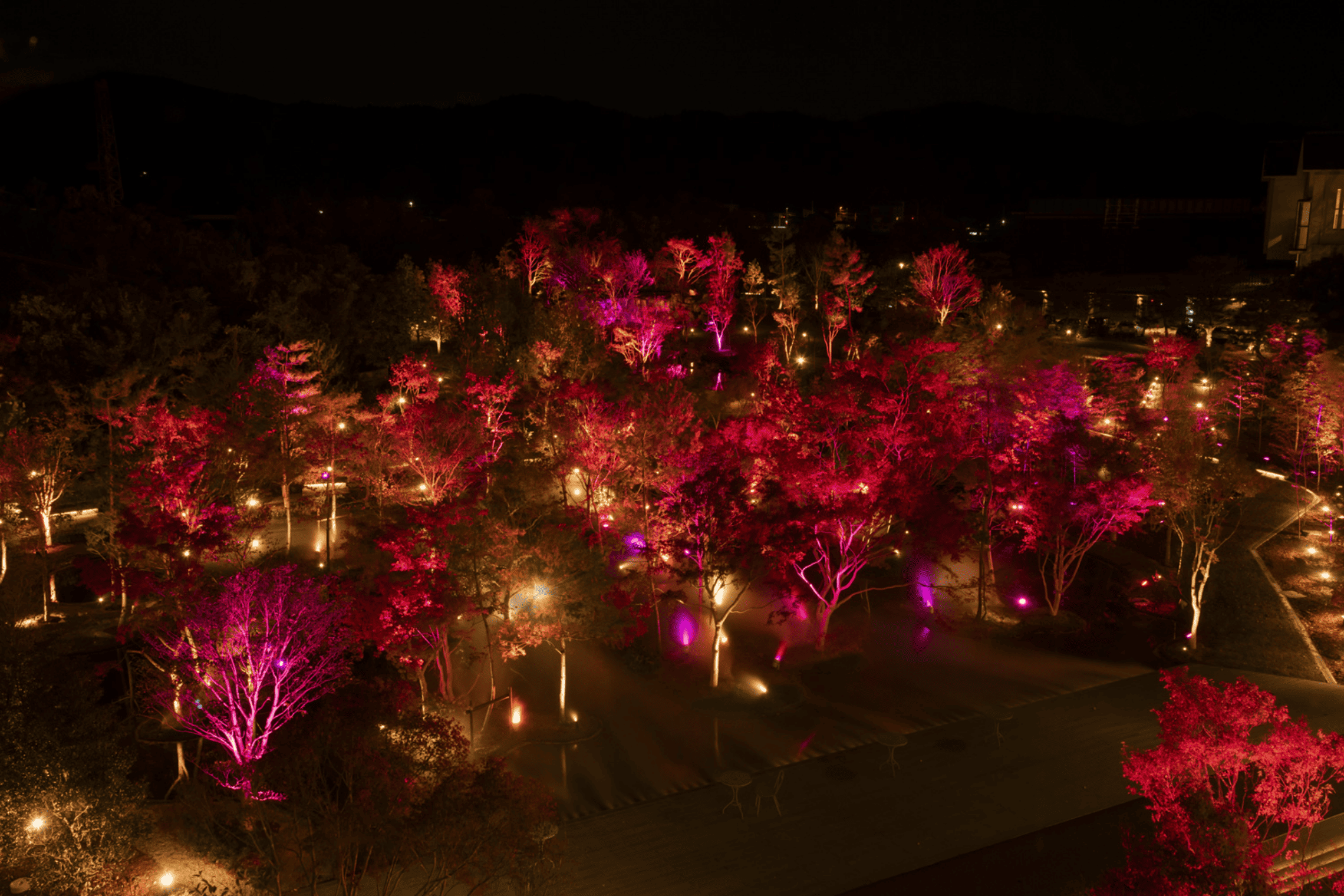 山代温泉 みやびの宿 加賀百万石