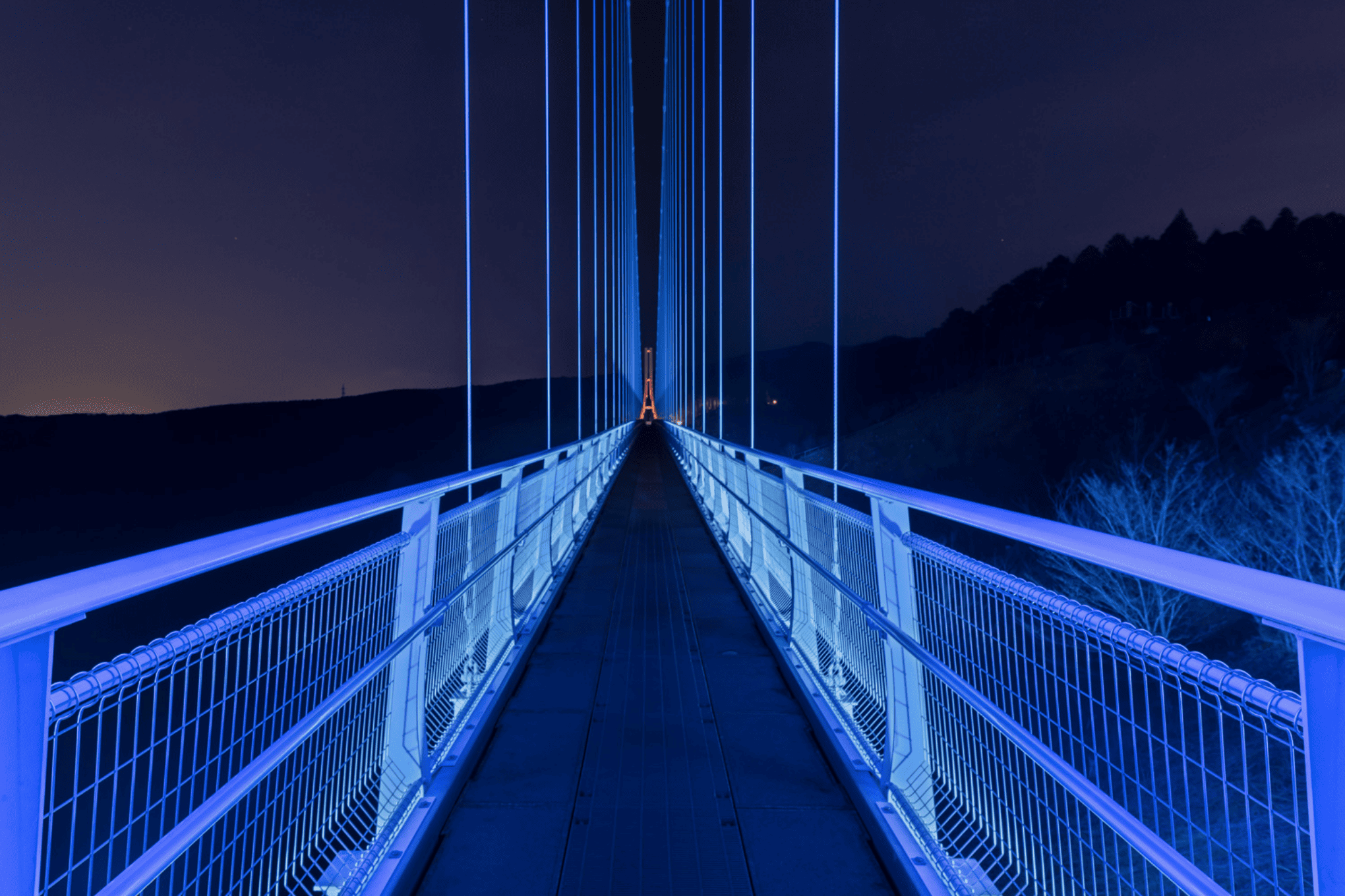 三島スカイウォーク